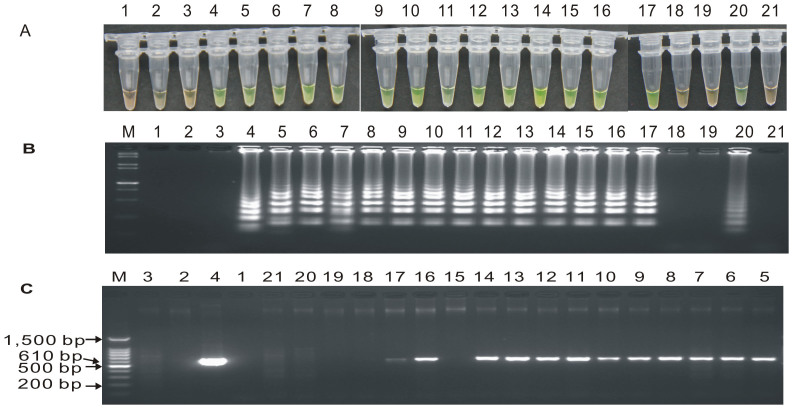 Figure 7