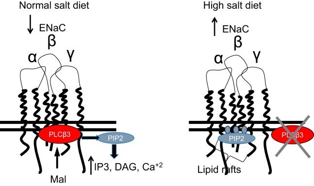 Fig. 8.