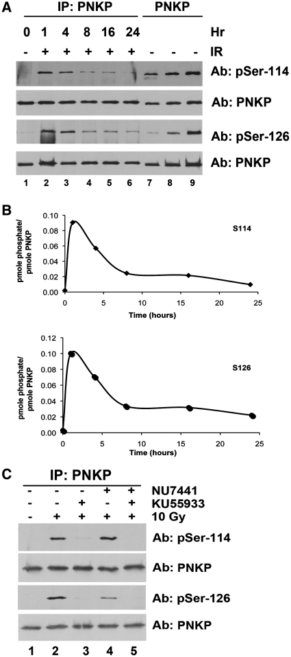 Figure 5.