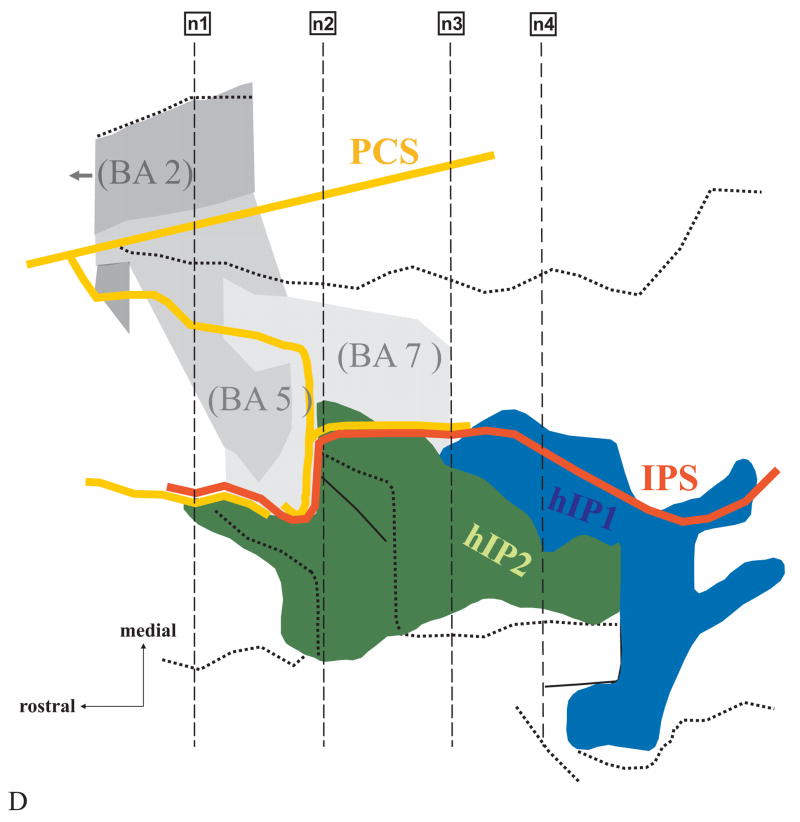 Figure 8