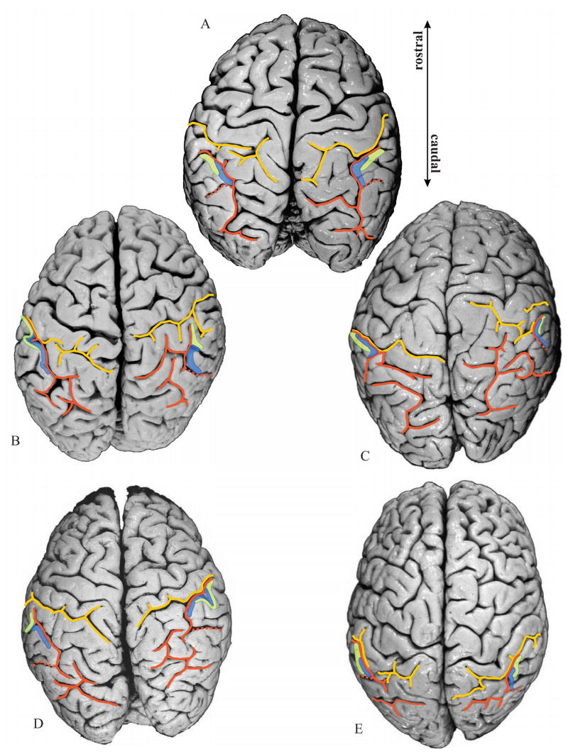 Figure 7