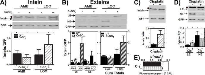 Figure 3: