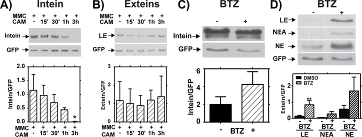 Figure 4: