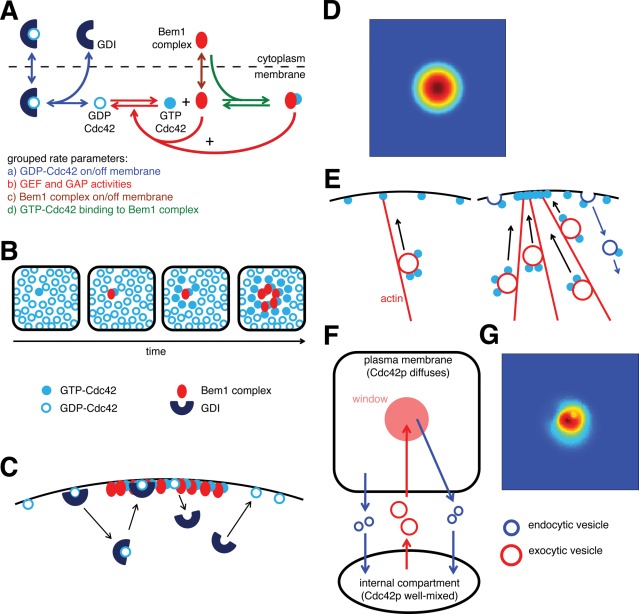 FIGURE 1: