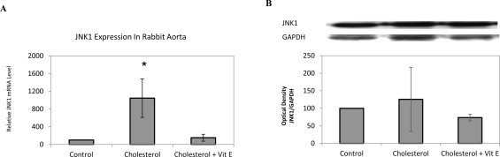 Fig 4