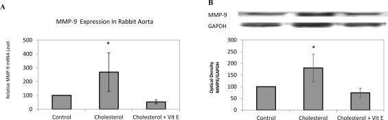 Fig 5