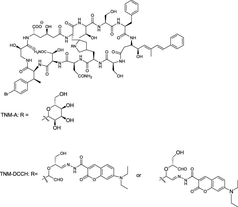 Fig. 7