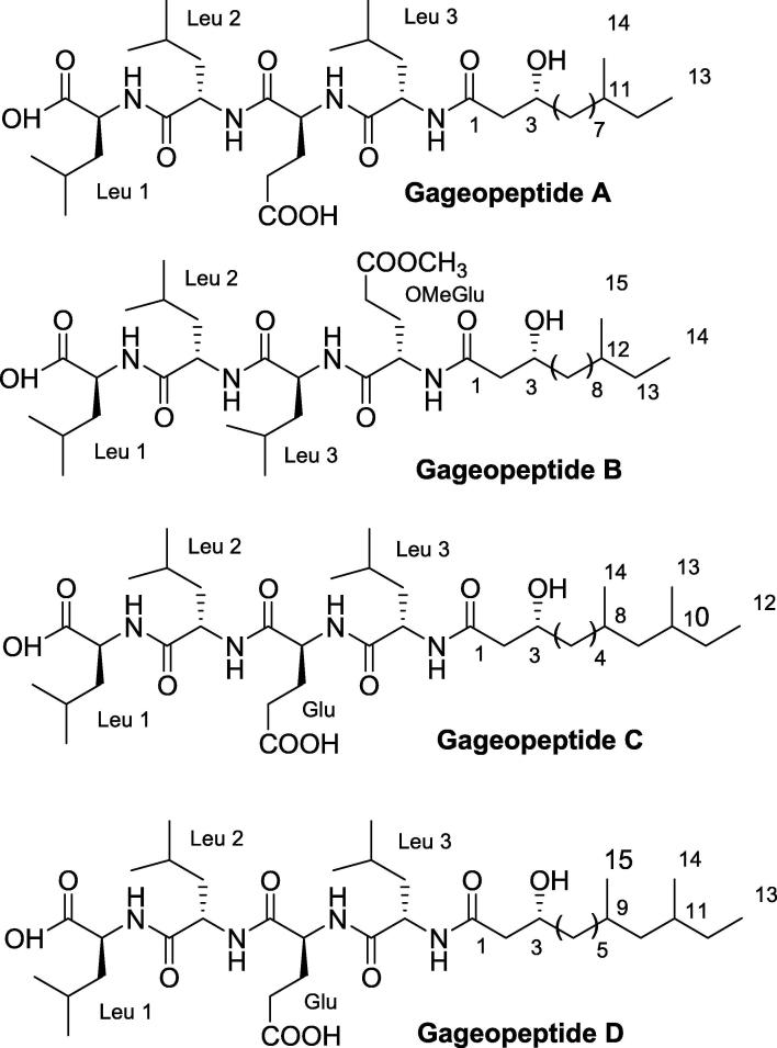 Fig. 10