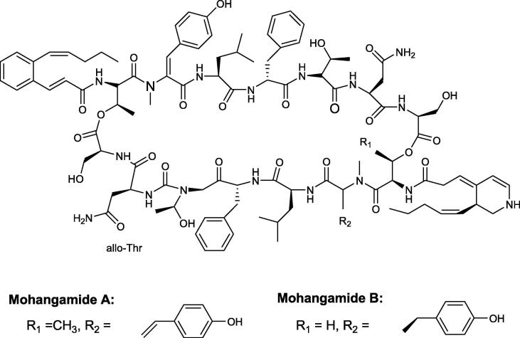 Fig. 8