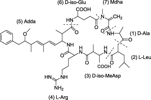 Fig. 5