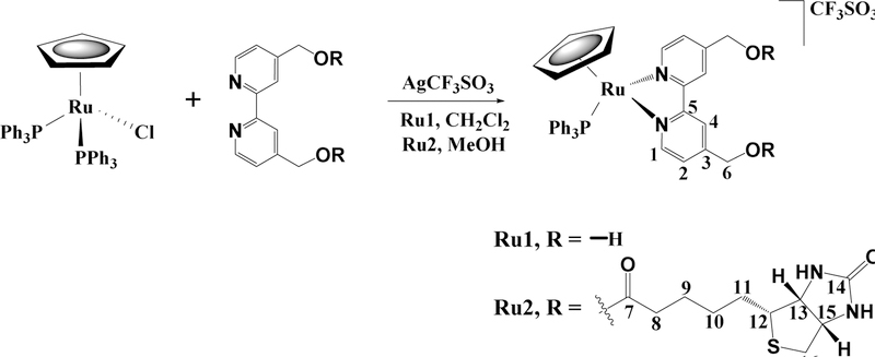 Scheme 1.