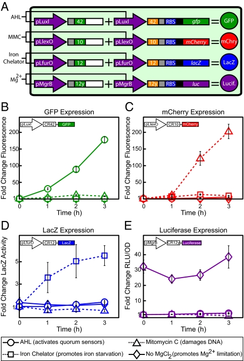 Fig. 3.