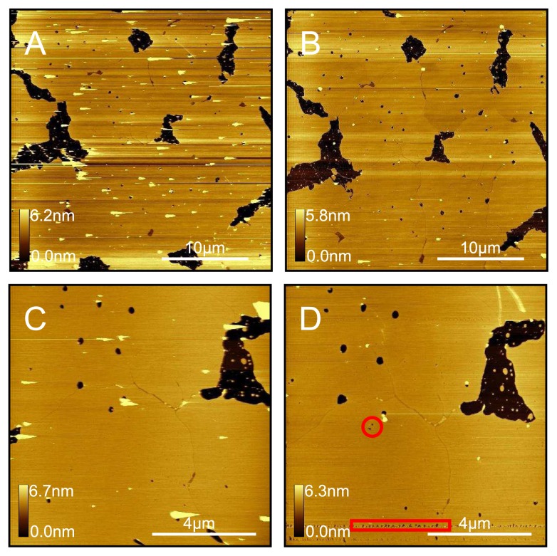 Figure 13