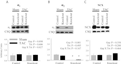 Fig. 10.