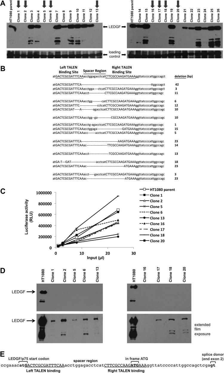 FIG 2