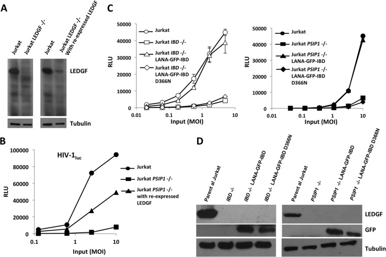 FIG 6