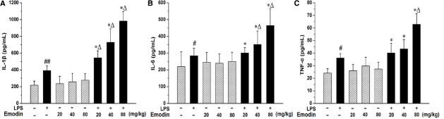 FIGURE 2