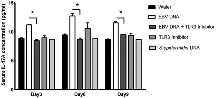 FIG 6