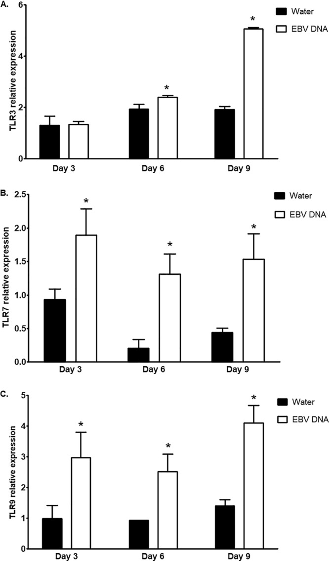 FIG 2