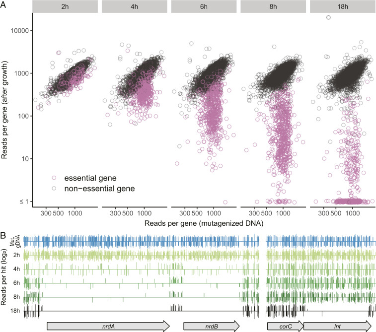 Fig. 2.