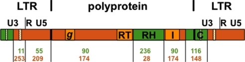 Fig. 2.