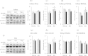 Supplemental Figure S3