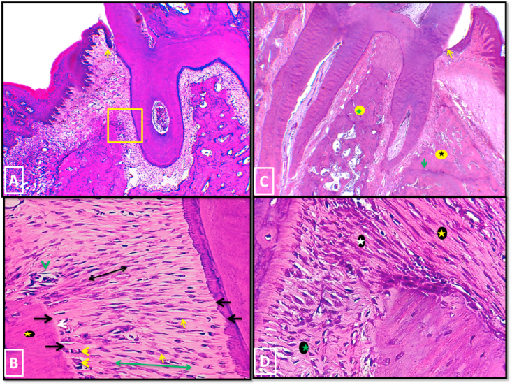 Fig. 8