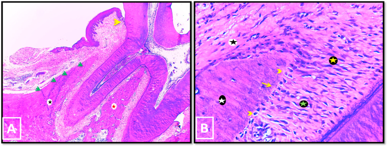 Fig. 7