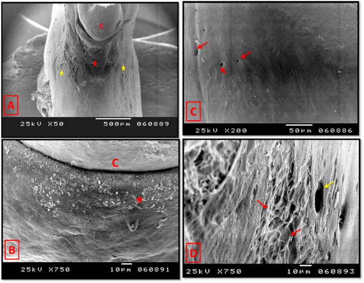 Fig. 13