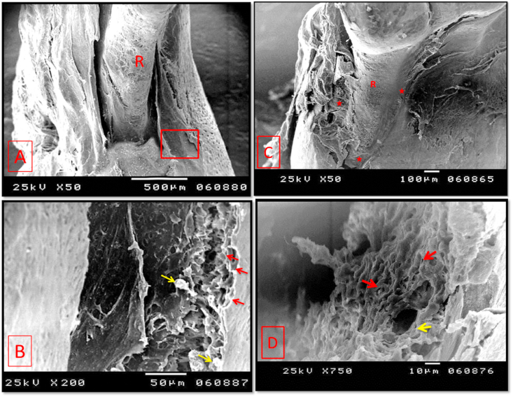 Fig. 9