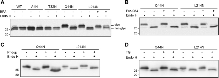 Figure 6