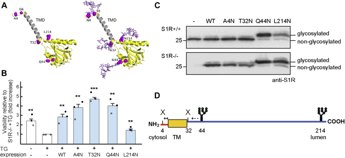 Figure 4