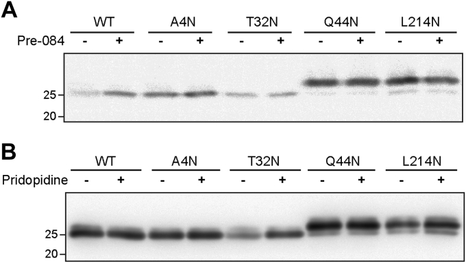 Figure 5