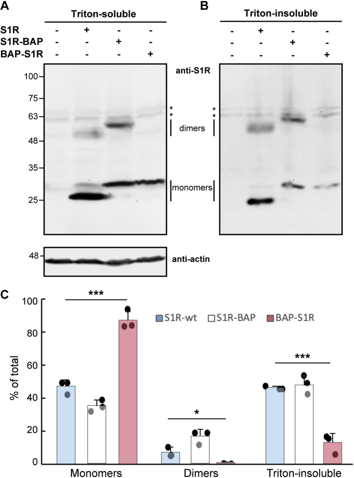 Figure 2