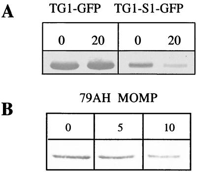 FIG. 6.