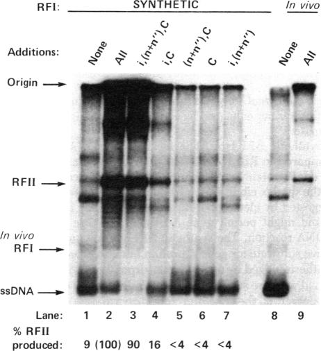 graphic file with name pnas00654-0151-a.jpg