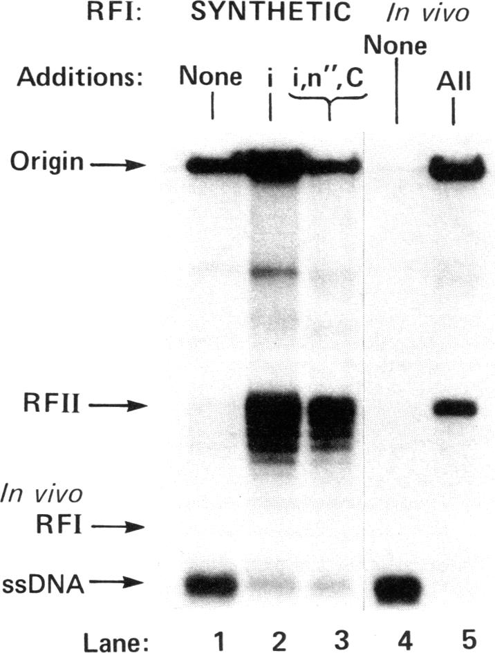 graphic file with name pnas00654-0153-a.jpg