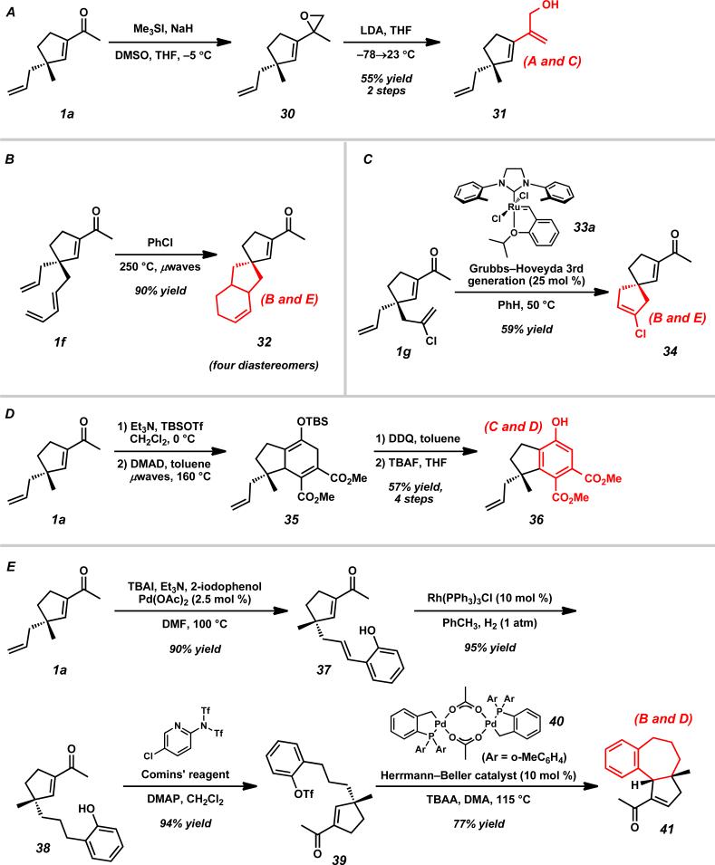 Scheme 8