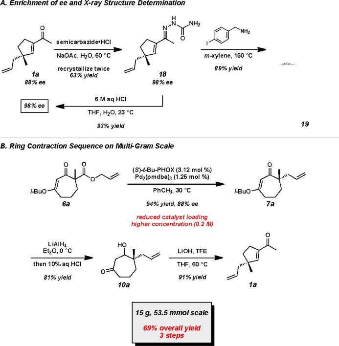 Scheme 7