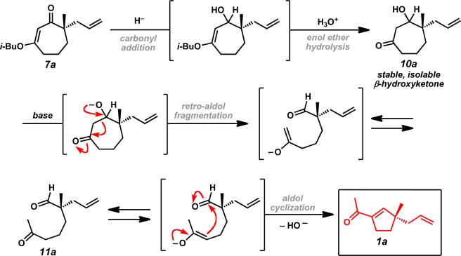 Scheme 3