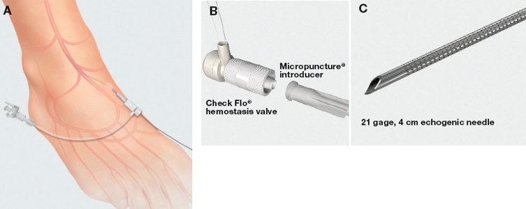 Figure 5.