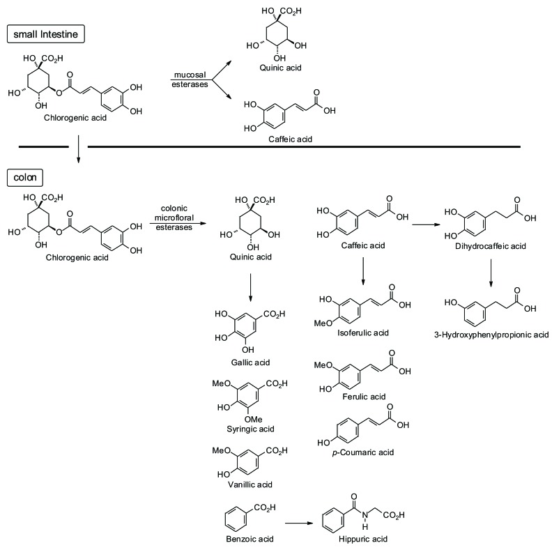 Fig. (2)