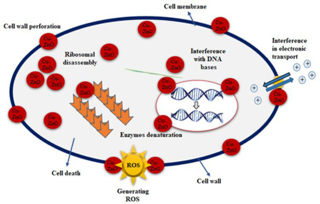 Fig 8