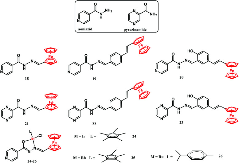 Fig. 10