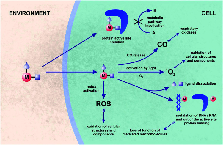 Fig. 2