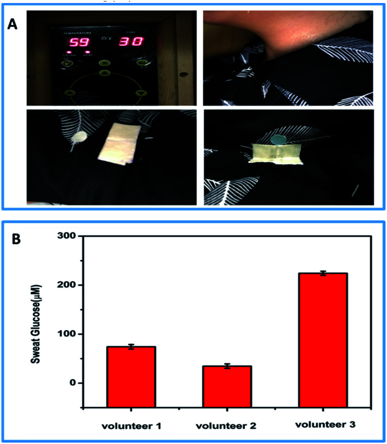 Fig. 6