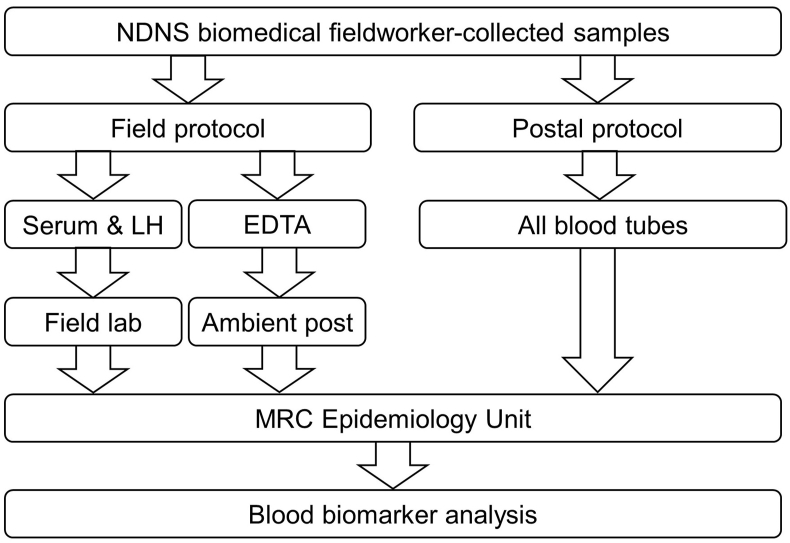 FIGURE 1