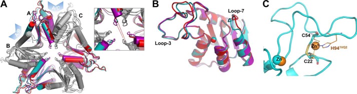 FIGURE 2.