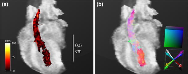 Fig. 8