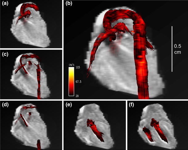 Fig. 6